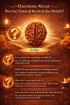 14 Rudraksha Mukhi OriginalBead | Lab Certified Natural Rudraksha