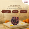 Original 6 Mukhi Rudraksha