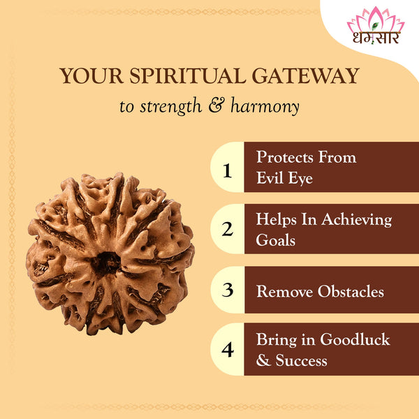 Original 9 Mukhi Rudraksha