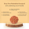 Original 9 Mukhi Rudraksha