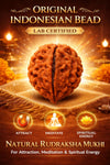 14 Rudraksha Mukhi OriginalBead | Lab Certified Natural Rudraksha