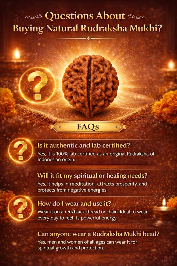 14 Rudraksha Mukhi OriginalBead | Lab Certified Natural Rudraksha