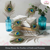 Peacock Feather | Original Mor Pankh (Set of 11 Tails) - Length Size 30 Inches